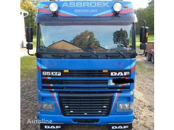 Ciężarówka do przewozu zwierząt DAF XF 95 380