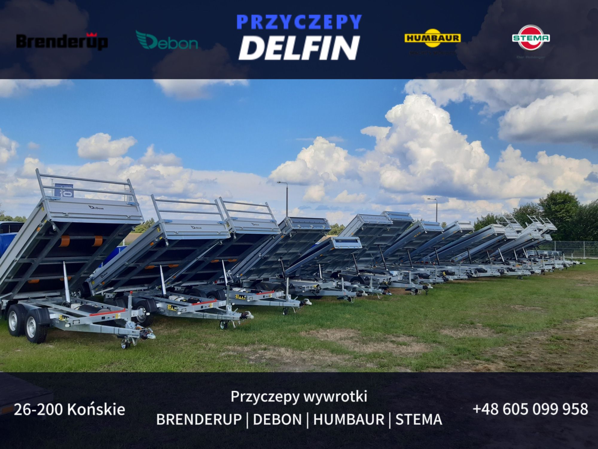ZPHU DELFIN Gruszkiewicz Andrzej undefined: zdjęcie 2
