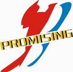 QINGDAO PROMISING INTERNATIONAL CO., LTD. na Truck1